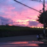 夏の終わり♪