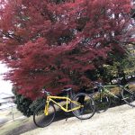 サイクリング(*´▽｀*)