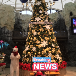 クリスマース!