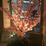 春はもう目の前(^^♪