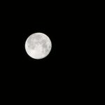 十五夜の満月