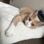 こんにちは！！