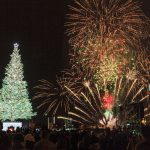 いよいよ12月！！