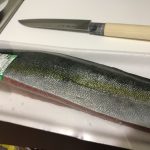 ぶりの刺身を食べました(^^♪