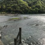 久しぶりの京都