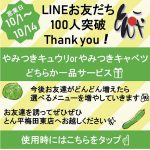 キャンペーン等始まってます♪