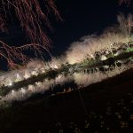 なばなの里行って来ました！