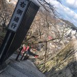家族でぶらり