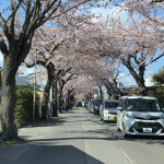 5月になりました！！！