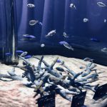 水族館