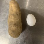 頂き物!