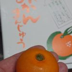 みかん、なのか！？