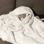 残すところ・・・