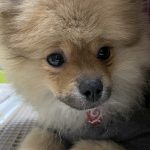 頑張る理由が増えました。