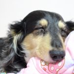 今日は何の日？？？