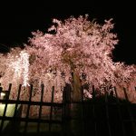 3月もあっという間に