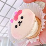 ココマカロン👀