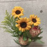 夏だーーーー☆彡