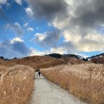 砥峰高原にいってきましたよー！