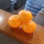 可愛らしいみかん頂きました♪