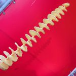 トルネードポテト食べてみた。🍟🌟