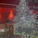 もうすぐクリスマス🎄
