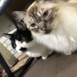 ゴールデンウィーク１日目
