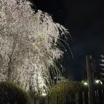 気づけば4月…
