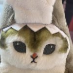 ぬいぐるみ
