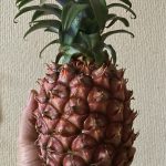 🍍