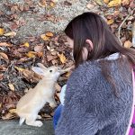 今年ラストブログ！