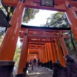 京都いきました