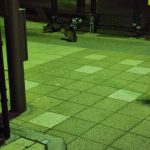 帰りがけいつも居る子たち