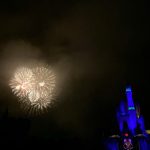 ディズニー！！