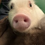 今日も元気に営業中！！