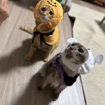 もうすぐアレが来ますよ―――！！