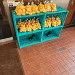 みかん屋さんやで～