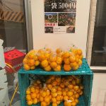 無人販売所を強化しました、、。