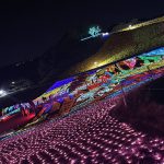 イルミネーション(熊本ボーイの父より)