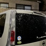 春分の日とは？？