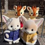 ハーベストの丘🐇