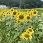 まだまだ夏は続くよ！！