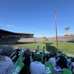 暑い夏が来たっ！🌞