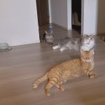 秋が来た？☆彡