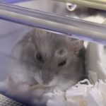 二月も元気に営業してます！